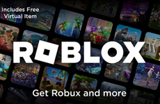 Roblox $25 USA